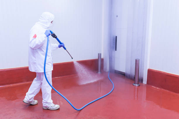 Best Winterizing Services  in Inver Grove Heights, MN