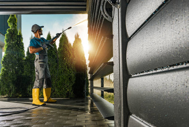 Best Driveway Pressure Washing  in Inver Grove Heights, MN